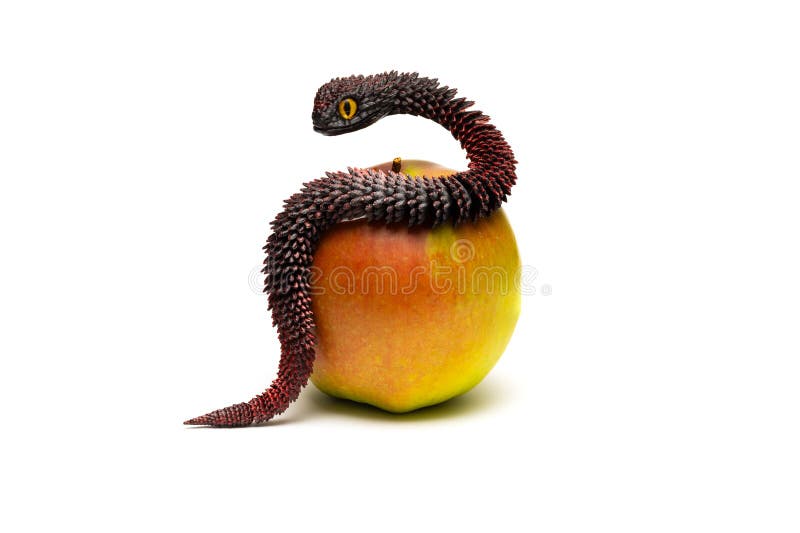 3D printed snake and apple on white background royalty free stock images