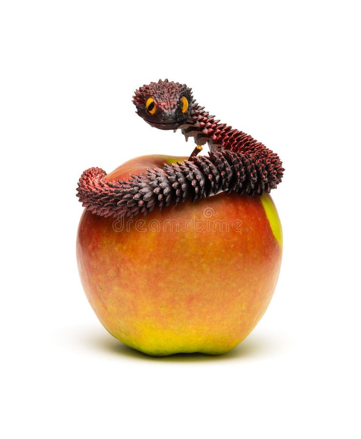 3D printed snake and apple on white background royalty free stock photos