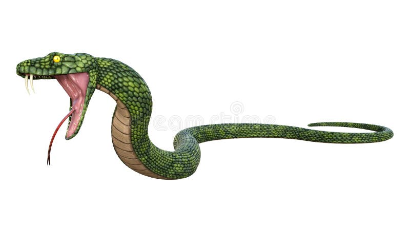 Cobra Da Serpente 3D Isolada Em Um Branco Ilustração Stock