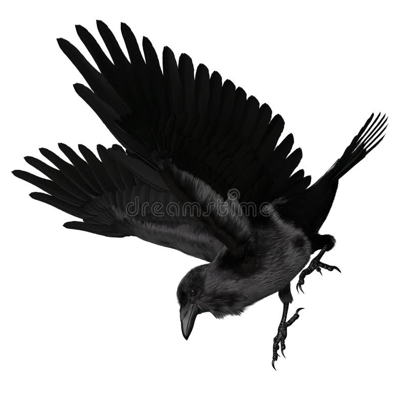 3. d raven negro revuelto aislado sobre fondo blanco stock de ilustración