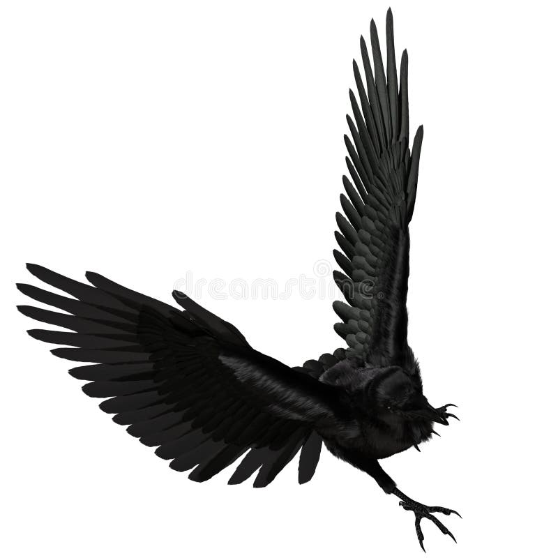 3. d raven negro revuelto aislado sobre fondo blanco stock de ilustración