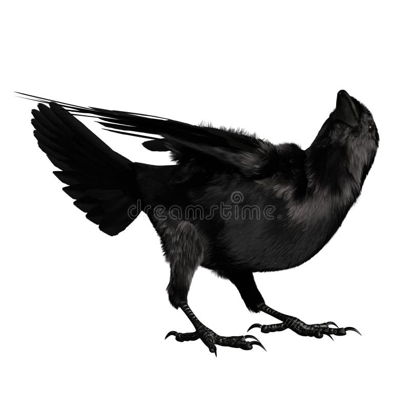 3. d raven negro revuelto aislado sobre fondo blanco ilustración del vector