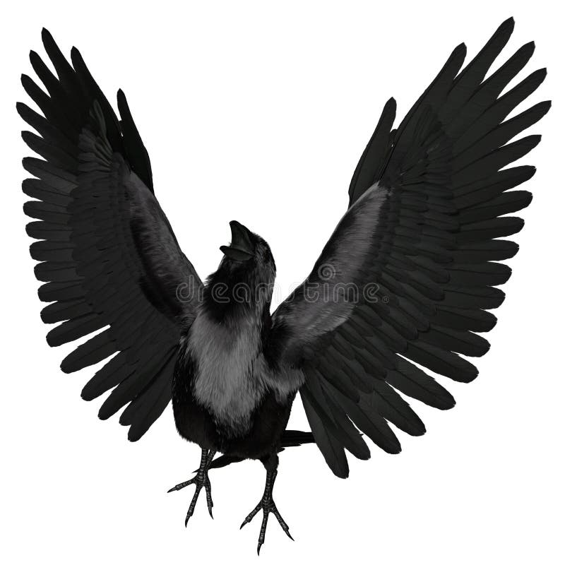 3. d raven negro revuelto aislado sobre fondo blanco libre illustration