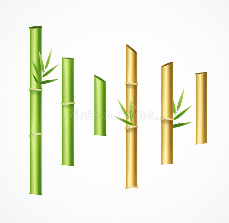3d realista detalló verde y el sistema de bambú de Brown Vector stock de ilustración 3d realista detalló verde y el sistema de bambú de Brown Vector stock de ilustración