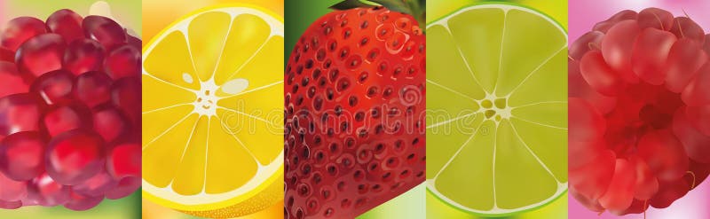 3d realistic fruit, pomegranate, lemon, lime, strawberry, raspberry. Vector graphics. A set of fruits.