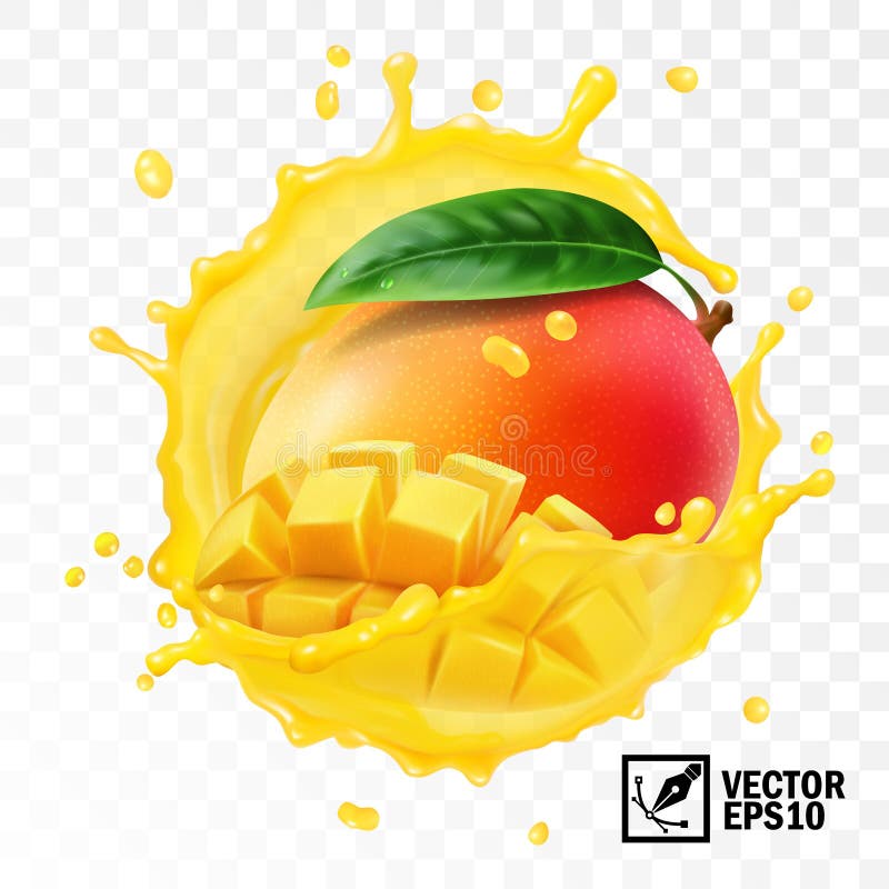3d realistic transparent isolated vector, whole and pieces mango fruit with leaf in a splash of juice with drops. Juice splash logo vectors