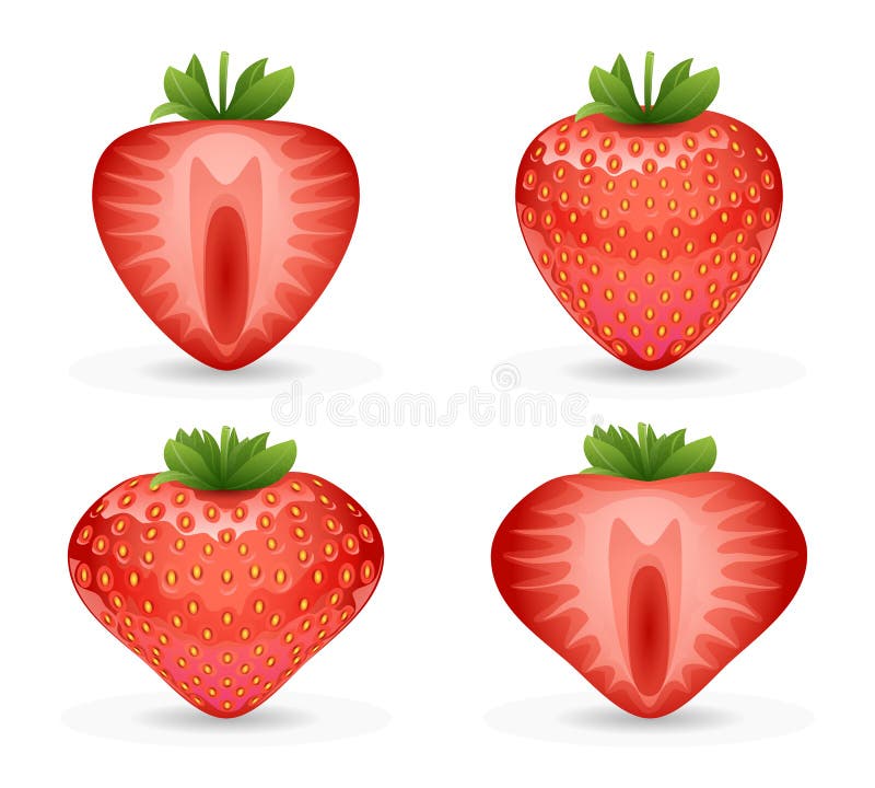 3d realistische de aardbeivector van het fruitontwerp illustraton stock illustratie 3d realistische de aardbeivector van het fruitontwerp illustraton stock illustratie