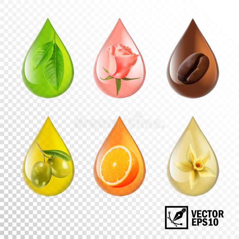 3d realistische vector transparante dalingenolie met smaak en aroma: de thee, nam, koffie, olijf, sinaasappel, vanille toe Editab royalty-vrije illustratie 3d realistische vector transparante dalingenolie met smaak en aroma: de thee, nam, koffie, olijf, sinaasappel, vanille toe Editab royalty-vrije illustratie