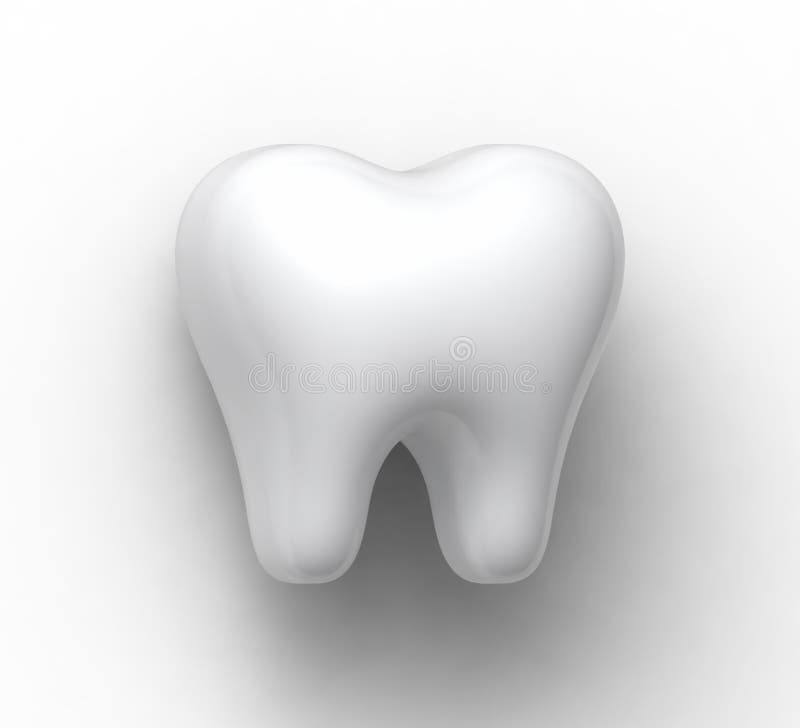 3d ren, frisk, vit molar tand med skugga på vit bakgrundsslutning. realistisk human tand med två tandkanaler royaltyfri illustrationer