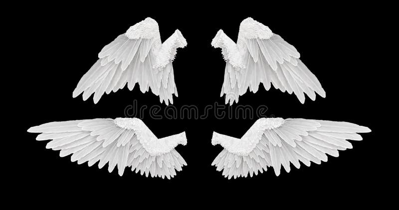 3D rendent les ailes blanches d'ange avec dessus un fond noir illustration libre de droits 3D rendent les ailes blanches d'ange avec dessus un fond noir illustration libre de droits