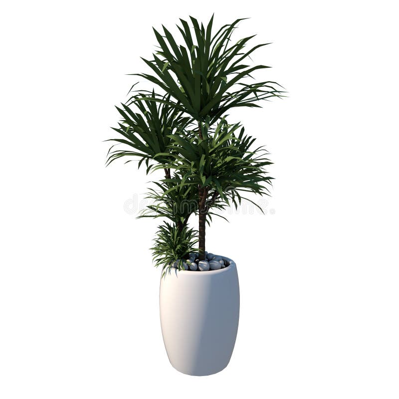 https://thumbs.dreamstime.com/b/d-render-illustration-art-plants-tree-bush-white-background-front-view-plant-potted-vase-indoor-rendering-ilustracion-217501203.jpg