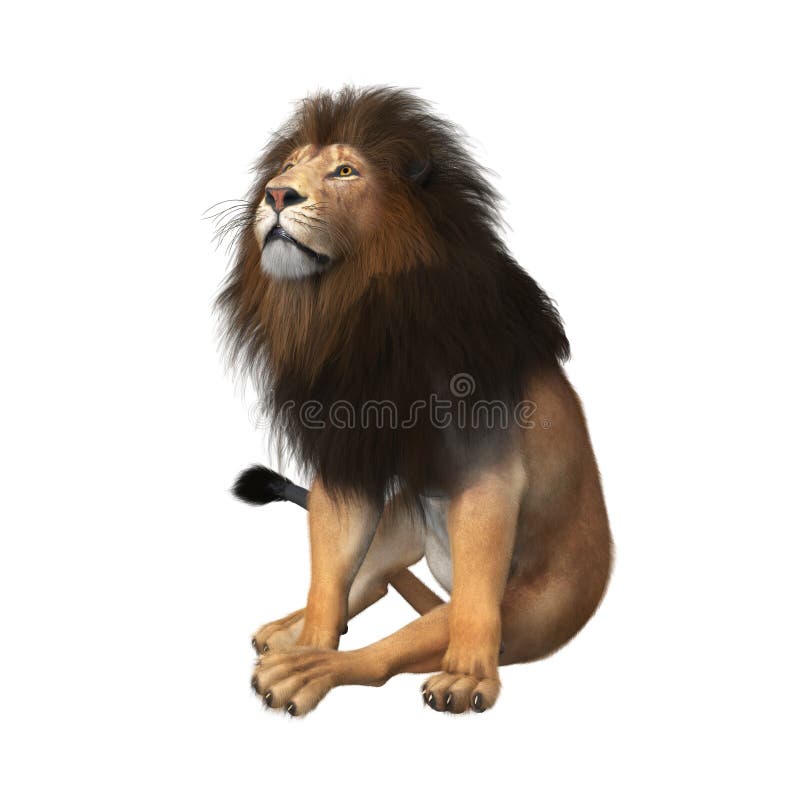 Rendering of a Seated Male Lion with a Full Mane Stock Illustration ...