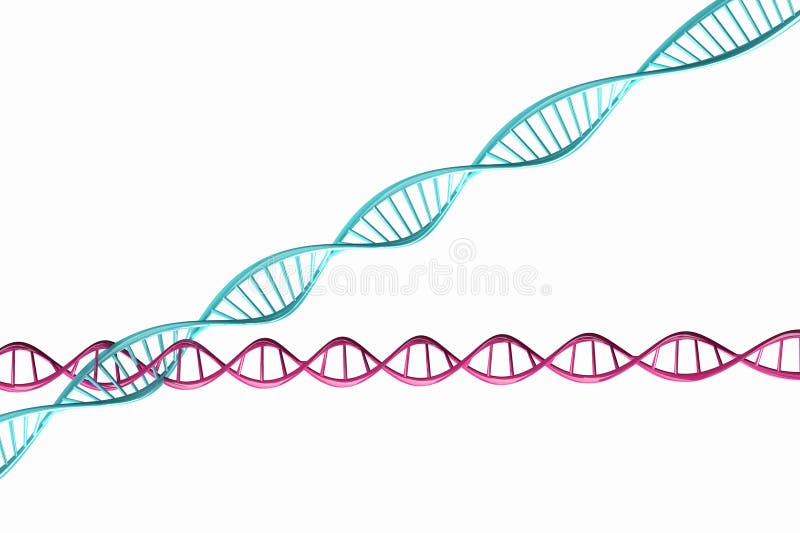 3d Render ,Model of Twisted DNA Chain Isolated. Stock Illustration