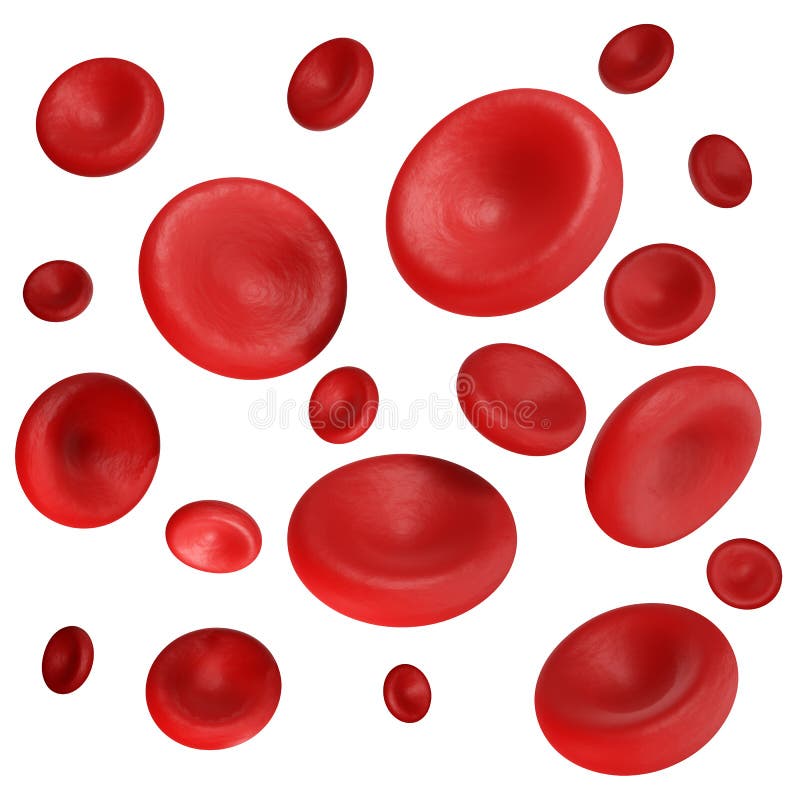 red blood cells clipart