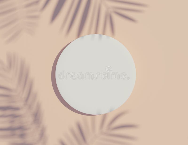 3d render top view of white blank cylinder frame for mock up and display products with shadows of palm leaves and white blue royalty free illustration