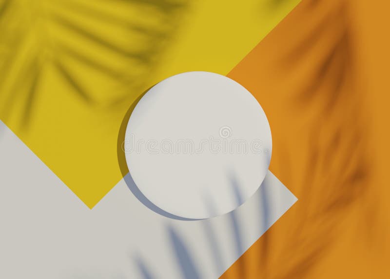 3d render top view of white blank cylinder frame for mock up and display products with shadows of palm leaves and white yellow and vector illustration