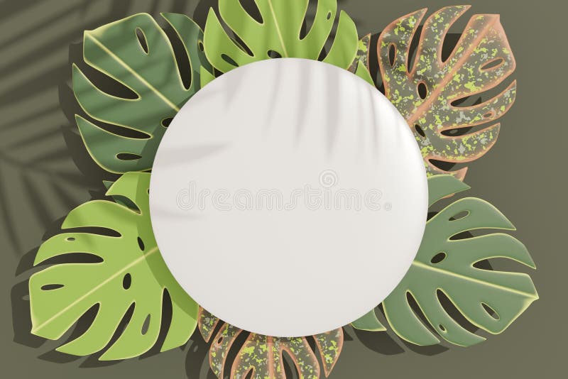 3d render top view of white blank cylinder frame for mock up and display products with shadows of palm and Monstera leaves. stock illustration