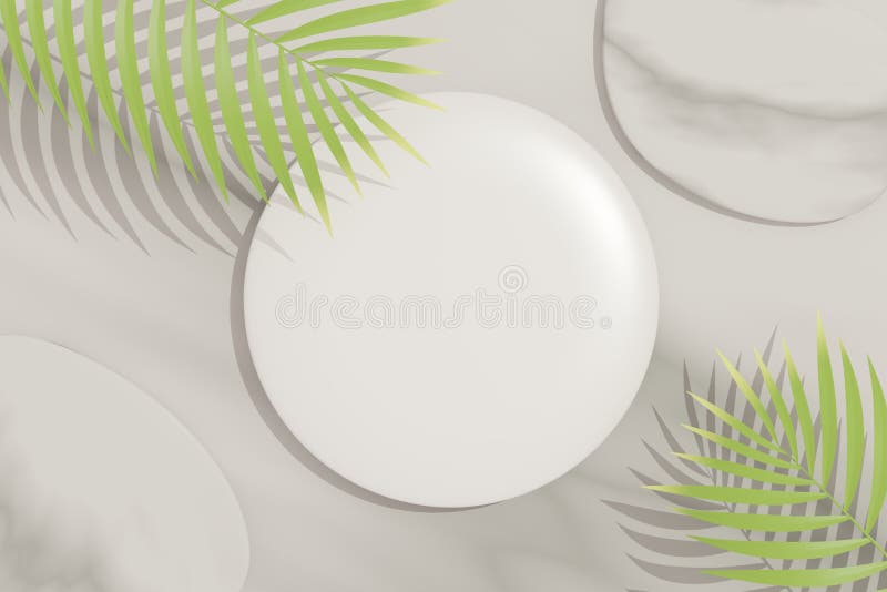 3d render top view of white blank cylinder frame for mock up and display products with shadows of palm and Monstera leaves. stock illustration