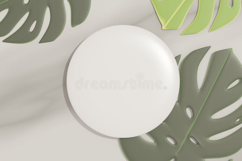 3d render top view of white blank cylinder frame for mock up and display products with shadows of palm and Monstera leaves. vector illustration