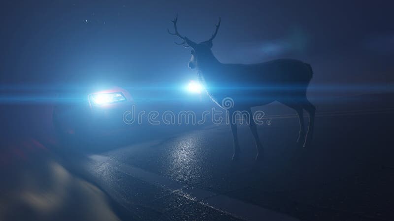 a deer infront of a car