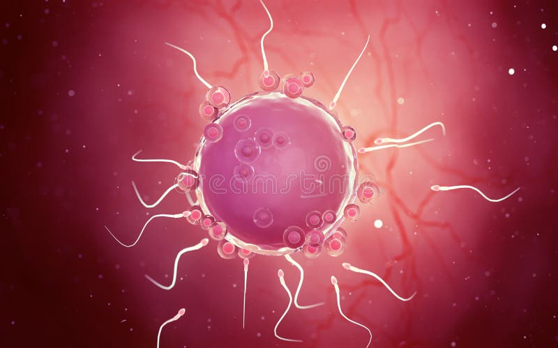 Human Cell Stock Illustrations – 111,598 Human Cell Stock Illustrations,  Vectors & Clipart - Dreamstime
