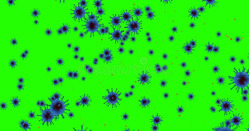3D rendering animation, blue coronavirus cells covid-19 influenza flowing on chroma key green screen background as dangerous flu royalty free illustration