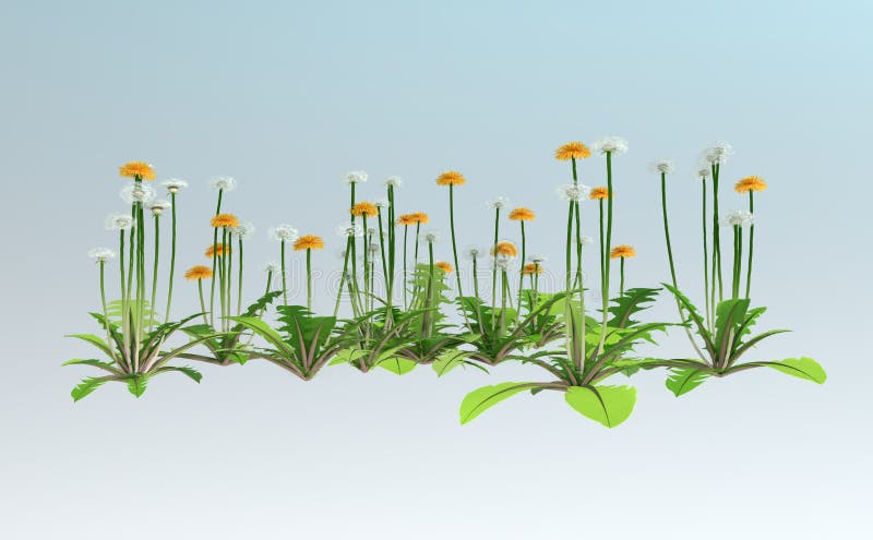 3D-rendering av Dandelion Flowers vektor illustrationer 3D-rendering av Dandelion Flowers vektor illustrationer