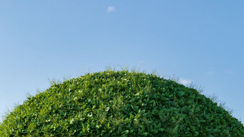 3d-rendering av gröngräsklipp med små blommor och blå himmel