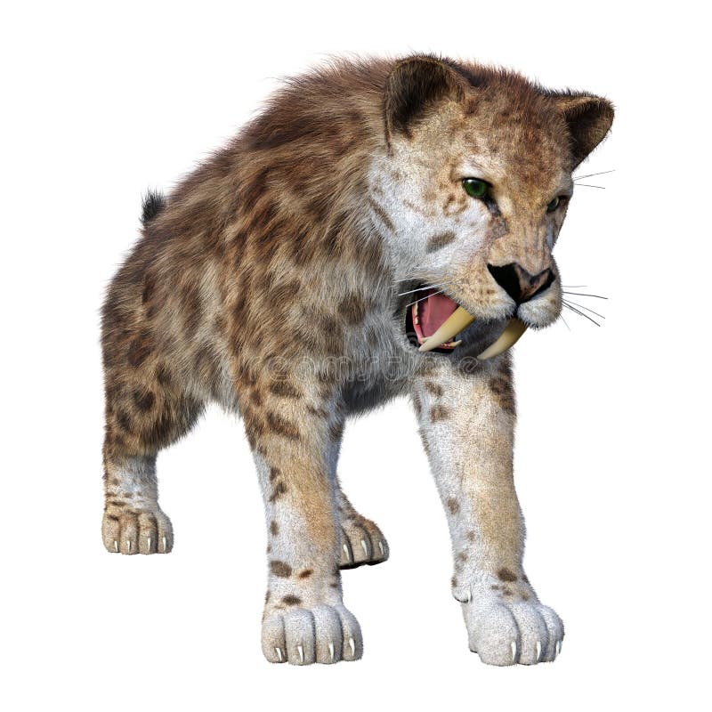 3D-rendering av Sabertooth Tiger på vitt vektor illustrationer