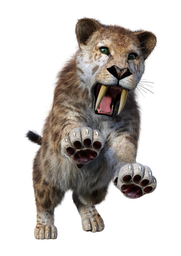 3D-rendering av Sabertooth Tiger på vitt stock illustrationer