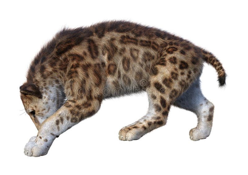 3D-rendering av Sabertooth Tiger på vitt stock illustrationer