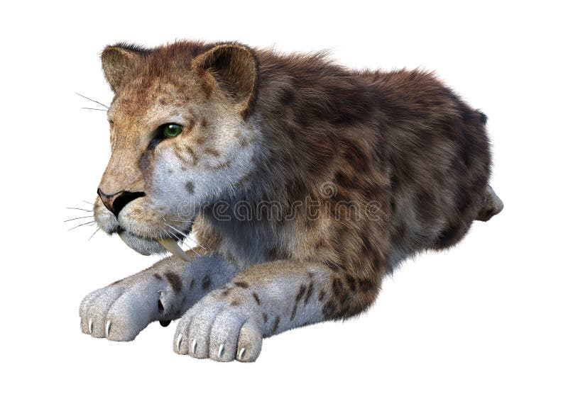 3D-rendering av Sabertooth Tiger på vitt royaltyfri illustrationer