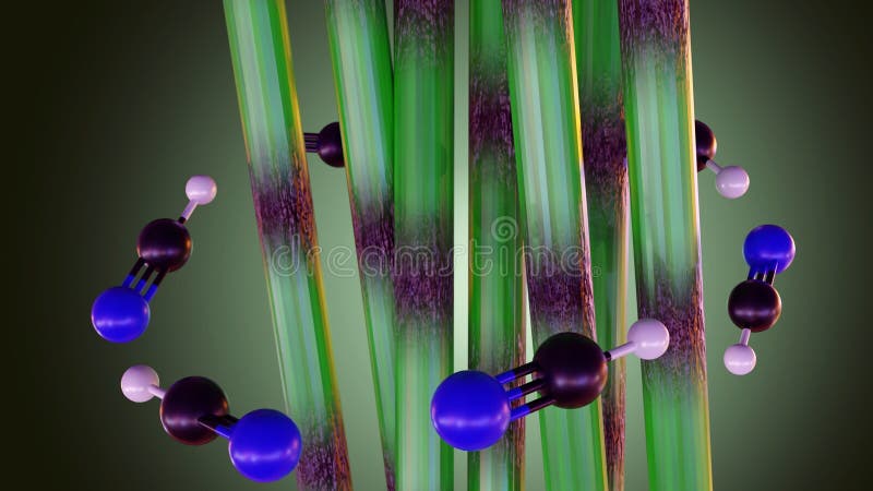 3d rendering of Bamboo and hydrogen cyanide molecules vector illustration
