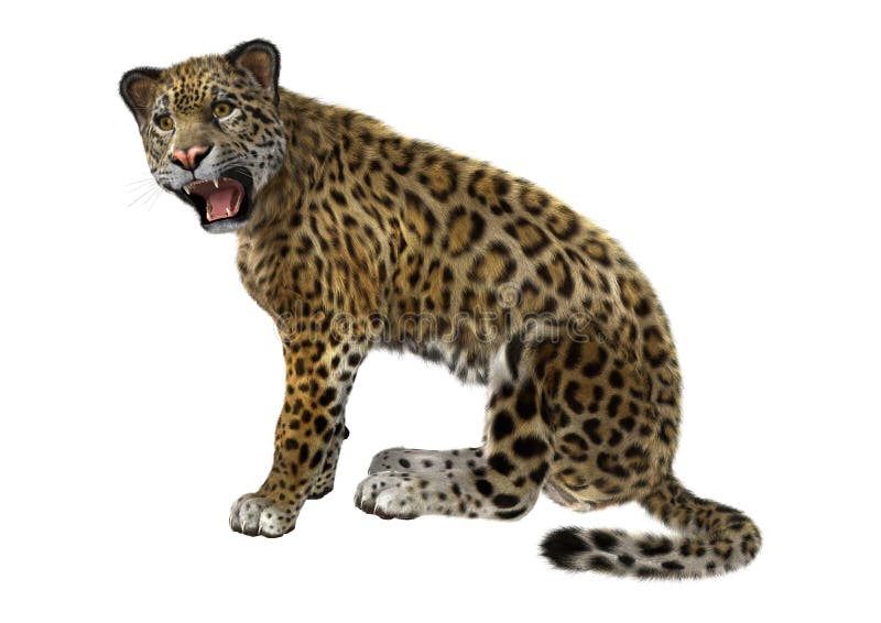  3D  Rendering Big Cat  Jaguar  Stock Illustration 