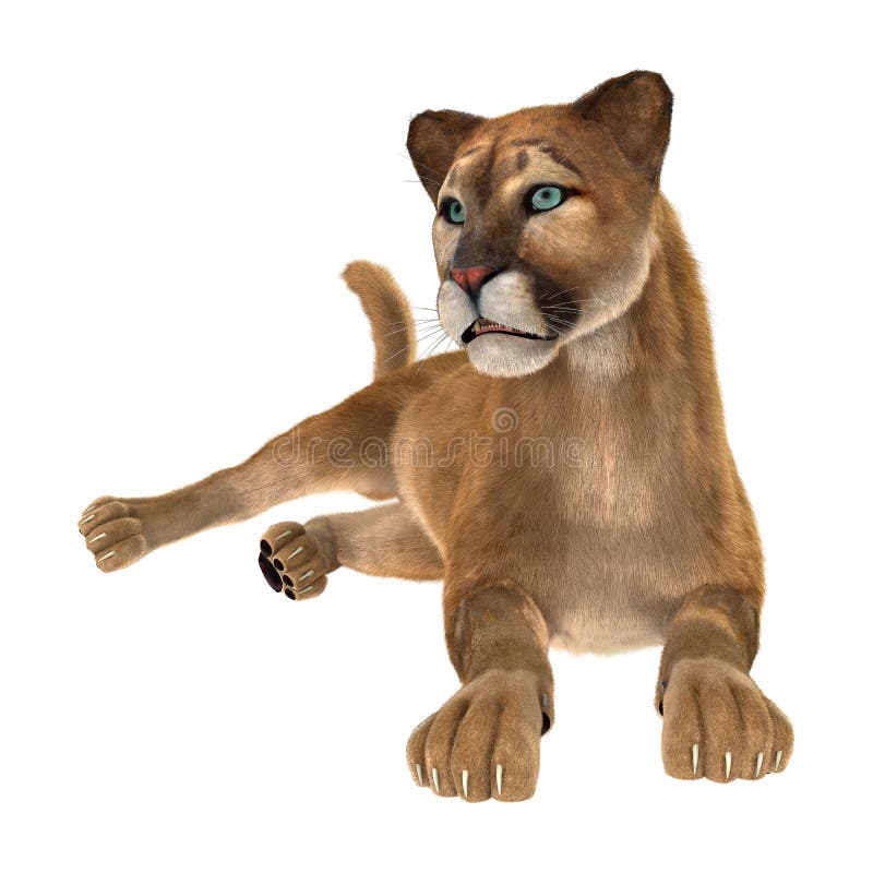 3D Rendering Big Cat Puma on White 