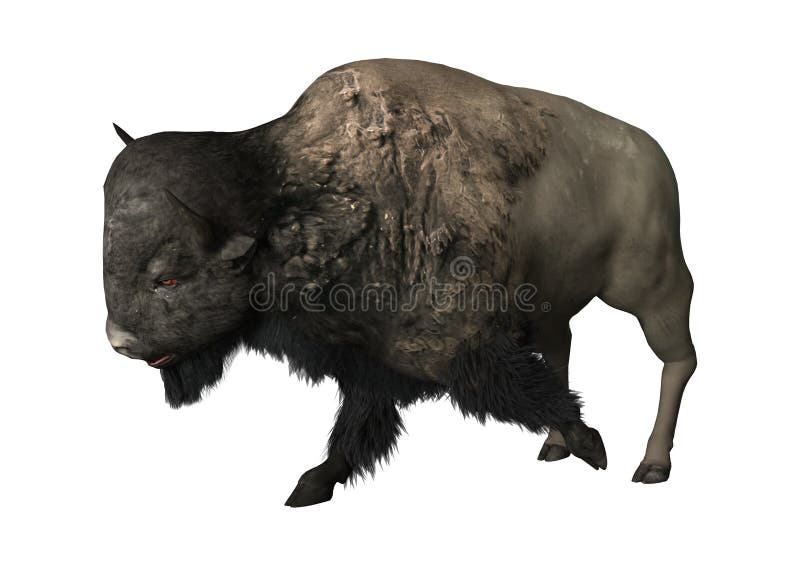3D Rendering Bison on White vector illustration