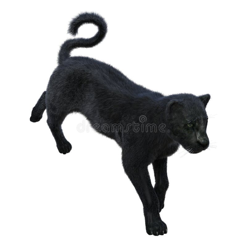 3D Rendering Black Panther on White Stock Illustration - Illustration of  people, hunter: 191915023