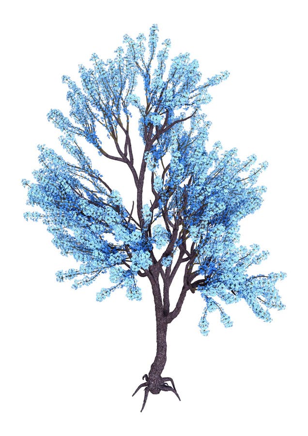 3D Rendering Blue Blooming Sakura Tree on White royalty free illustration