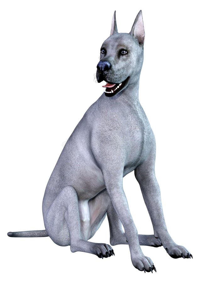 3D Rendering Blue Grat Dane Dog on White ilustracji