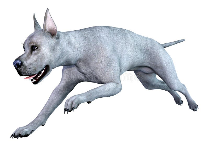 3D Rendering Blue Grat Dane Dog on White ilustracja wektor