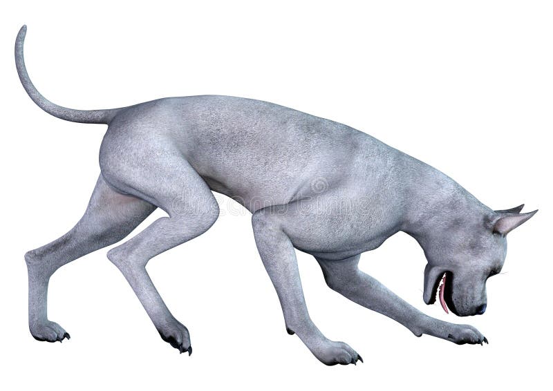 3D Rendering Blue Grat Dane Dog on White ilustracja wektor