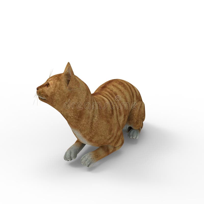 3d rendering of cat created by using a blender tool royalty free illustration 3d rendering of cat created by using a blender tool royalty free illustration