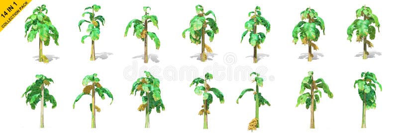 3D rendering - 14 in 1 collection of banana trees isolated over a white background stock illustration 3D rendering - 14 in 1 collection of banana trees isolated over a white background stock illustration