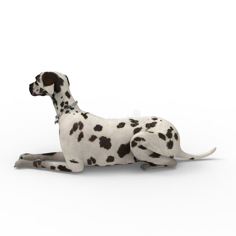 3d Rendering of Dog Created by Using a Blender Tool Stock Illustration
