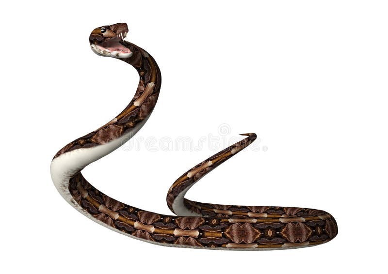 3D Snake Images – Browse 24,690 Stock Photos, Vectors, and Video