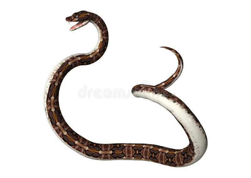 Download Snake Reptile 3D Rendering Royalty-Free Stock Illustration Image -  Pixabay