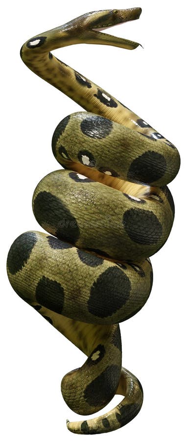 3D Rendering Green Anaconda on White lizenzfreie abbildung