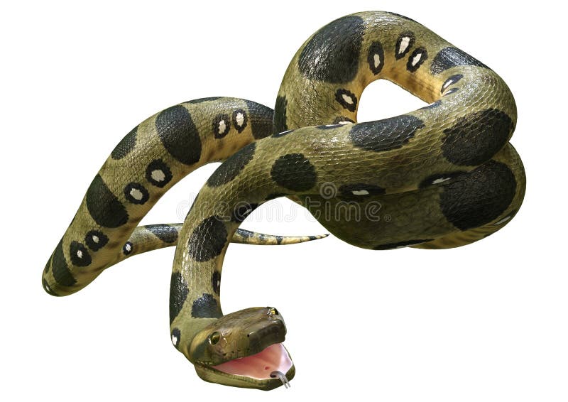 3D Rendering Green Anaconda on White lizenzfreie abbildung