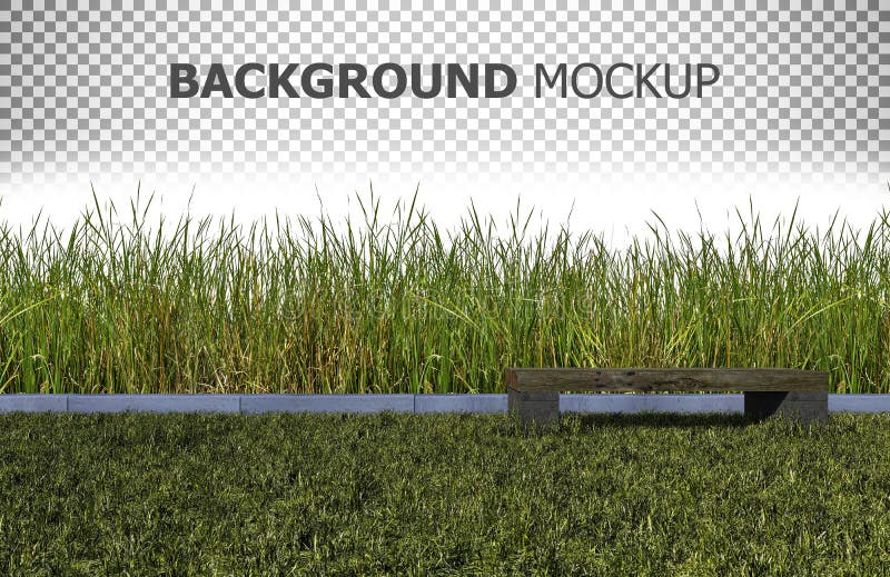 3d rendering green color wild grasses field vector illustration