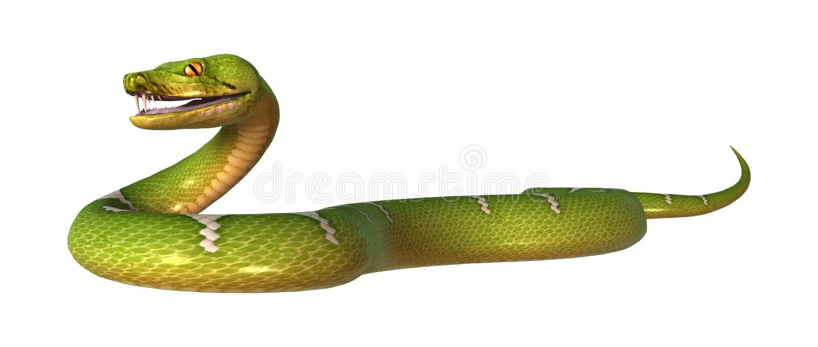 3,600+ Snake 3d Stock Photos, Pictures & Royalty-Free Images - iStock